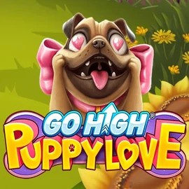 Go High Puppy Love slot logo by RubyPlay at Instant Casino