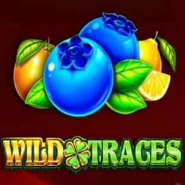 Play Wild Traces slot by Amusnet Interactive on instantcasinoo.eu